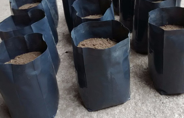 Línea Rural: Bolsas plásticas para macetas